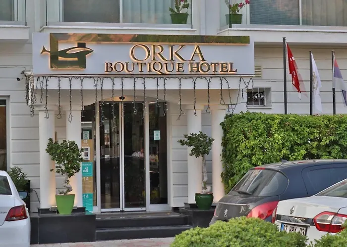 Orka Boutique Отель 3*